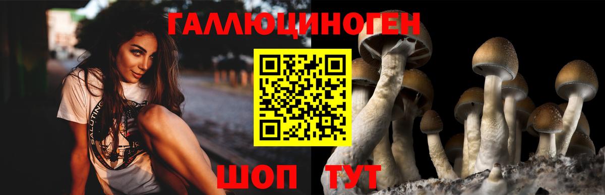 Галлюциногенные грибы прущие грибы  Галлюциногенные грибы GOLDEN TEACHER  Кудымкар  Вход с VPN 